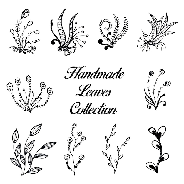 Free Vector handmade leaves collection