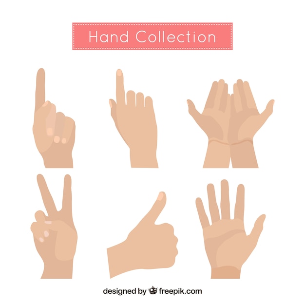 Free Vector hands collection with different poses in flat syle