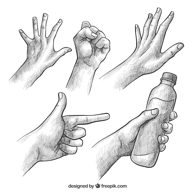 Hands collection with different poses in realistic style