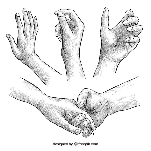 Free vector hands collection with different poses in realistic style