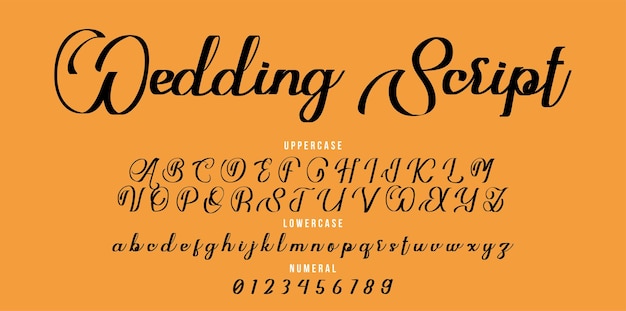 Handwritten Wedding script font. brush font