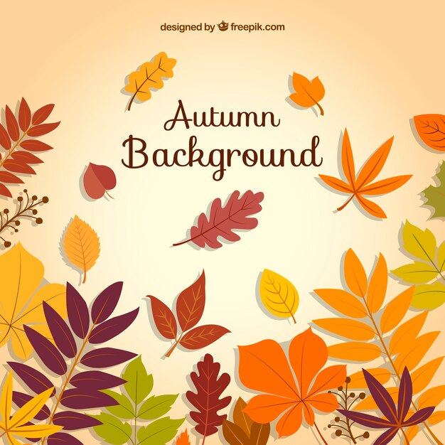 Happy autumn background with variety of leaves