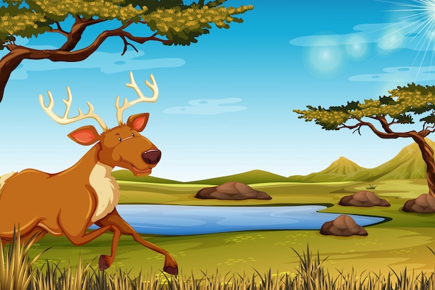 Free Vector happy deer in nature