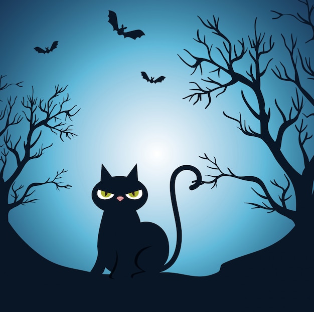 Happy halloween  with black cat in the night