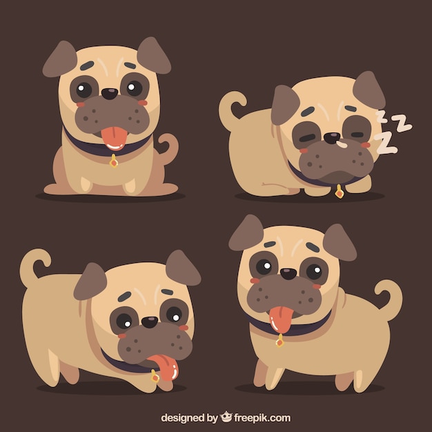 Free Vector happy pugs with lovely style