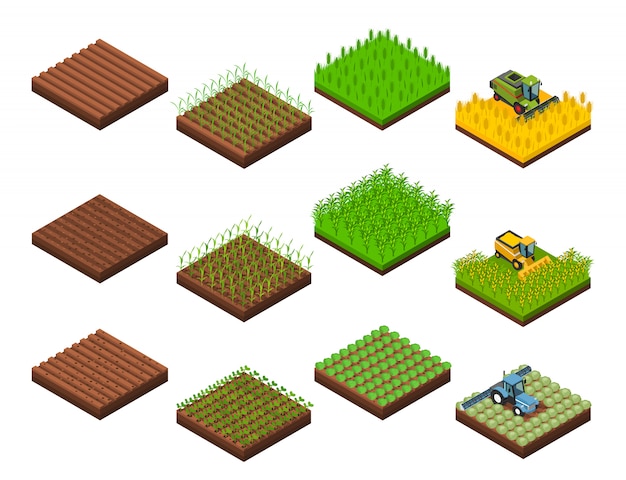 Harvest Work Elements Set