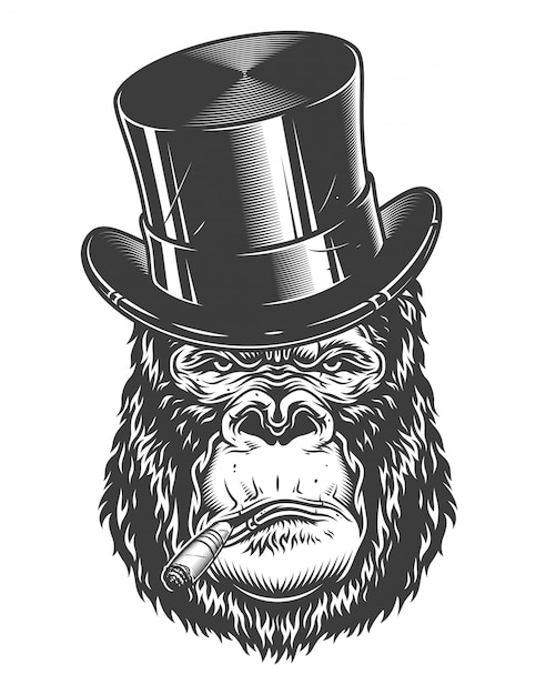 Free Vector head of gorilla