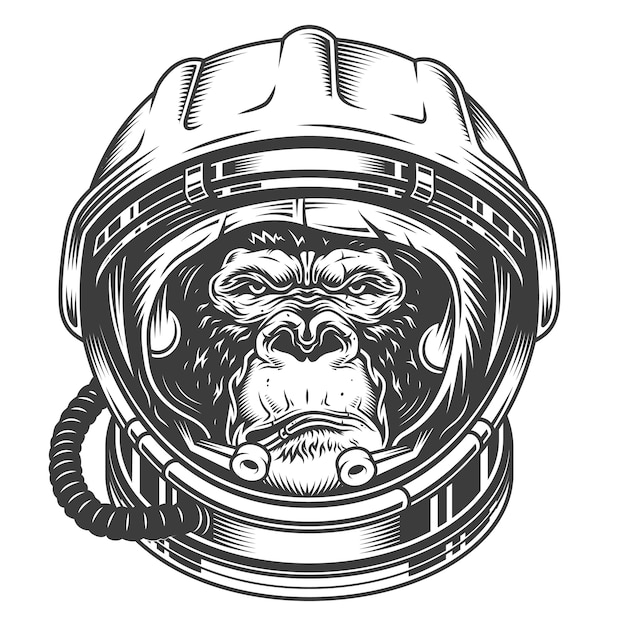 Free Vector head of gorilla