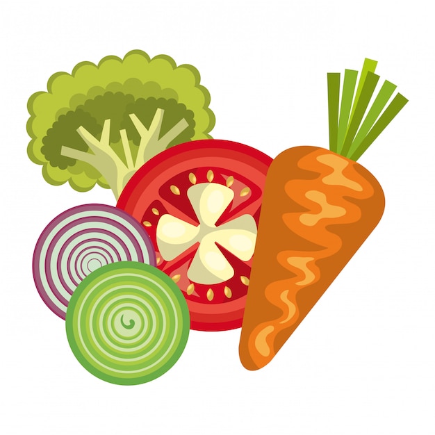 Free Vector healthy food  design 