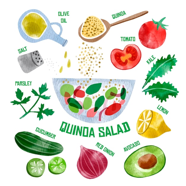 Free Vector healthy quanda salad illustrated