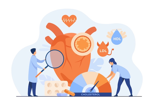 Heart disease risk concept. Medical examination of heart with high cholesterol, blood pressure and cardiovascular system problems.