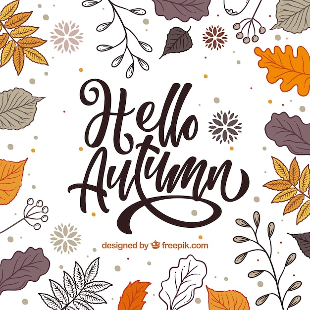 Hello autumn lettering background with leaves