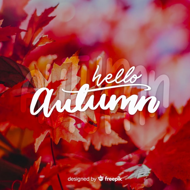 Free Vector hello autumn lettering with photo