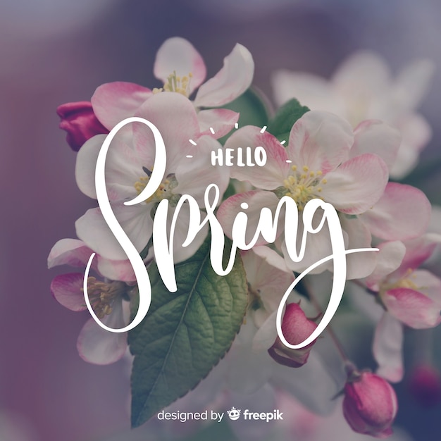 Hello spring lettering with photo