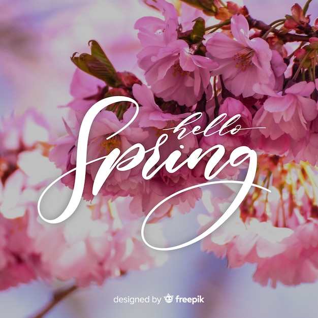 Hello spring lettering with photo