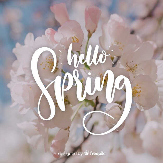 Hello spring lettering with photo