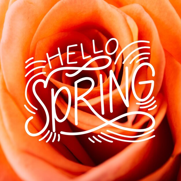 Hello spring lettering with photo