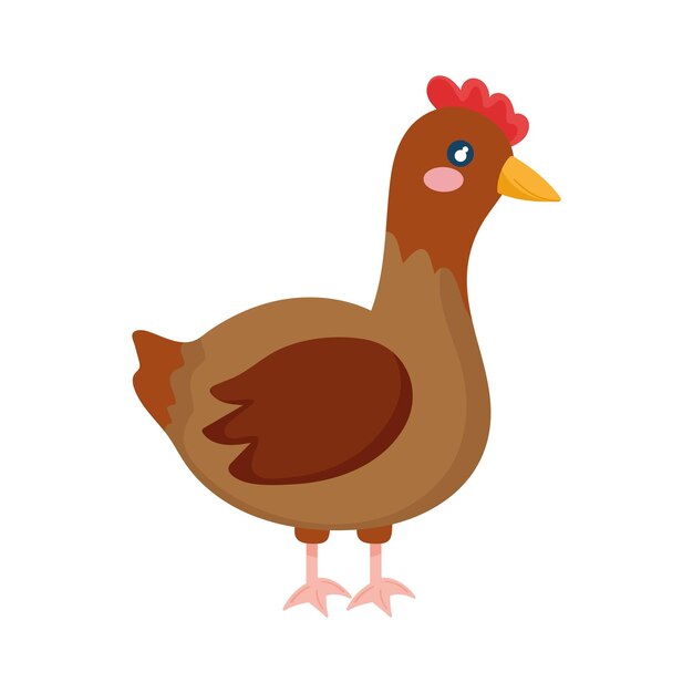 hen cartoon farm animal