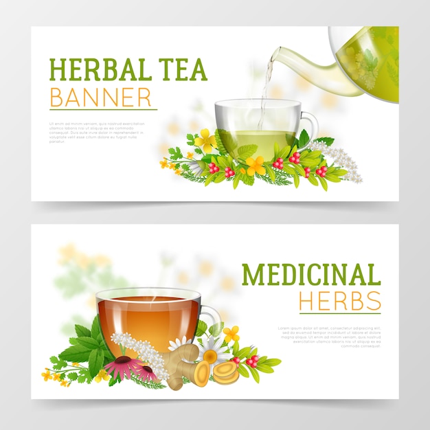 Free Vector herbal tea and medicinal herbs banners