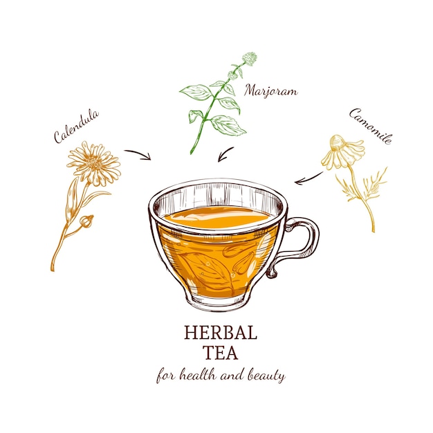 Free Vector herbal tea recipe concept