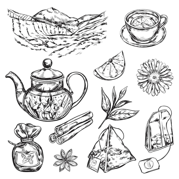 Free Vector herbal tea teapot