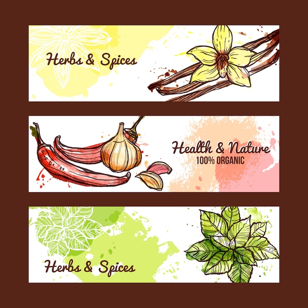 Free Vector herbs and spices banners