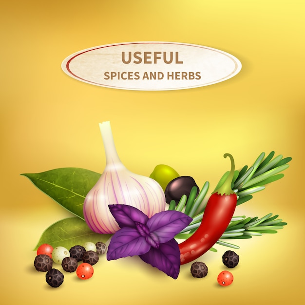 Free Vector herbs and spices realistic 