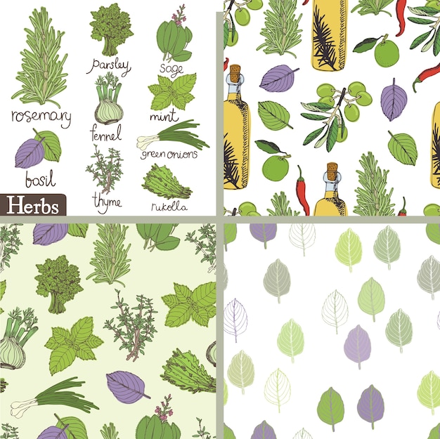 Free Vector herbs and spices set