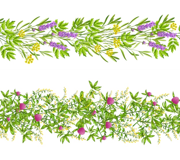 Free Vector herbs and wild flowers seamless pattern