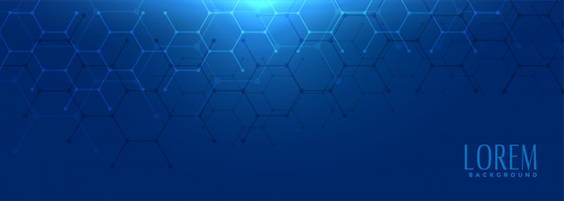 Hexagonal shape blue wide banner