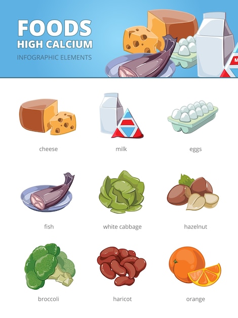 High calcium and vitamins foods. Haricot hazelnut cabbage, egg fish broccoli orange cheese.