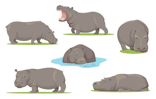 Hippo in different poses flat set