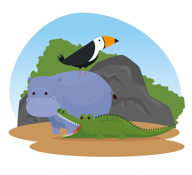 Hippopotamus with bird and crocodile wild animals