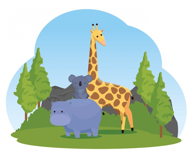 Free Vector hippopotamus with koala and giraffe wild animals