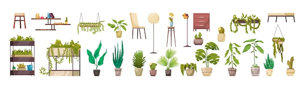 Home decorative deciduous green plants in pots and planters horizontal set isolated vector illustration