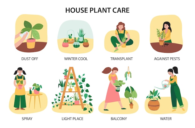 Free Vector home plants composition set