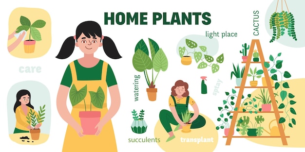 Free Vector home plants infographic set with care succulents watering transplant light place cactus and other descriptions vector illustration