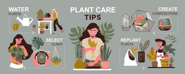 Home plants infographics with flowerpots illustration