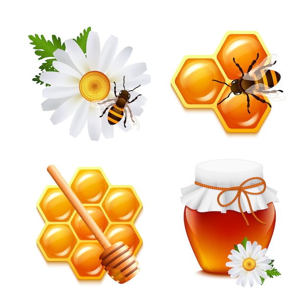 Free Vector honey food elements set with daisy bumblebee honeycomb isolated vector illustration