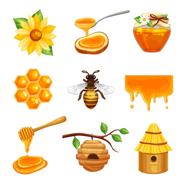 Free vector honey isolated icon set