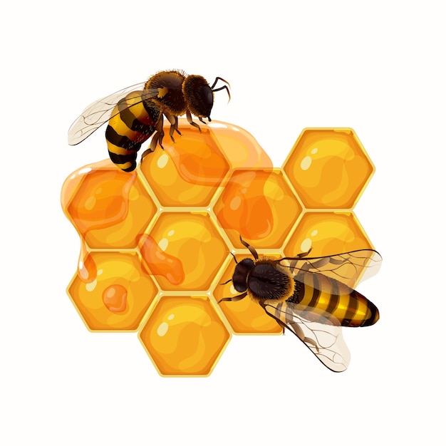 Free Vector honey realistic abstract composition with bees sitting on amber honeycombs vector illustration