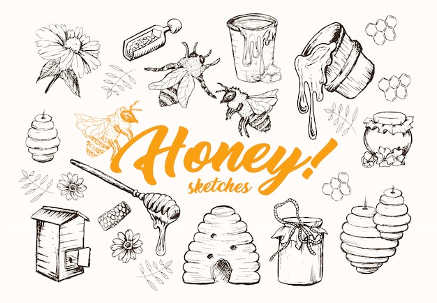 Honey Sketches Set, Beehive, Honey Jar, Barrel, Spoon Hand Drawn