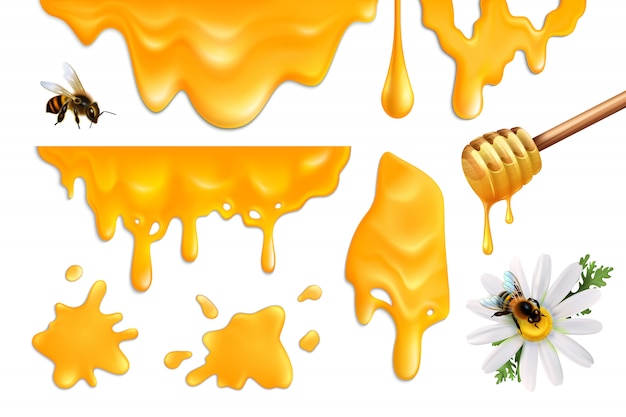 Free vector honey splatters and bees colorful set realistic illustration