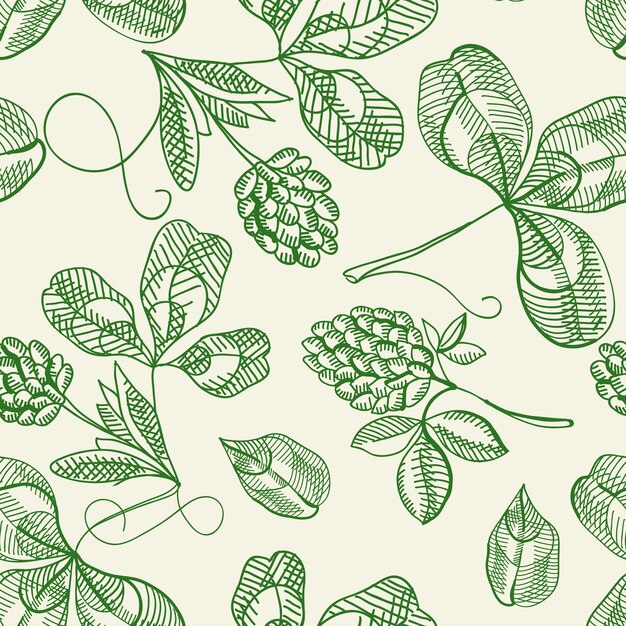 Hop seamless pattern doodle with repeating beautiful berries on the white  hand drawing