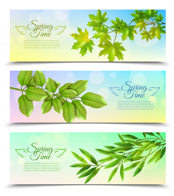 Free Vector horizontal banners set with green branches