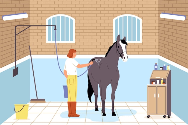 Free Vector horse and people flat composition demonstrating female worker taking care of steed washing with shower vector illustration