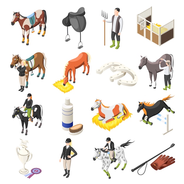 Free Vector horse riding isometric icons set