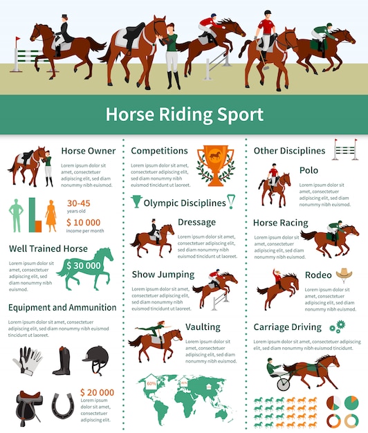 Free Vector horse rising infographics flat layout with rodeo carriage driving dressage vaulting advertising