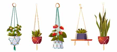 Free vector house plants in hanging pots isolated flowers set