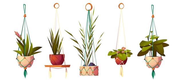 House plants in hanging pots, planters in macrame hangers. Vector cartoon set of flowers in handmade holders from rope for home interior decoration isolated on white background